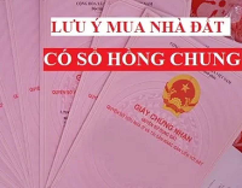 Những lưu &yacute; khi mua b&aacute;n nh&agrave; đất c&oacute; sổ hồng chung