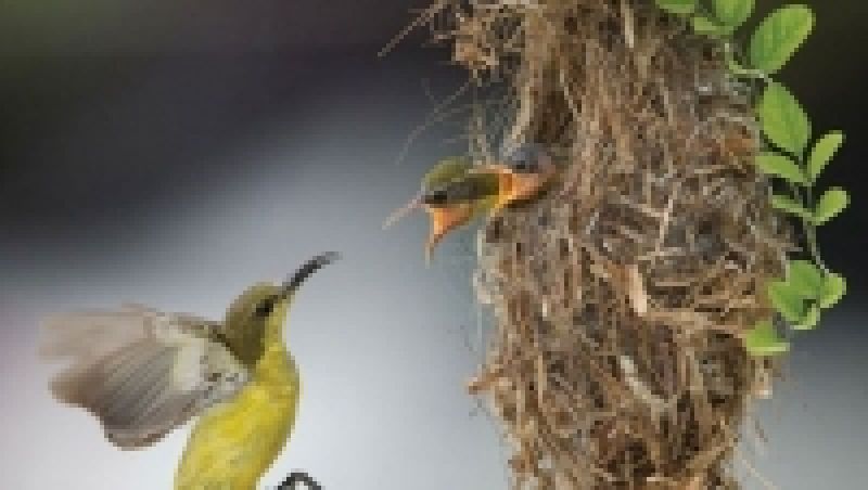 Nh&agrave; nhỏ cũng l&agrave; nh&agrave;!